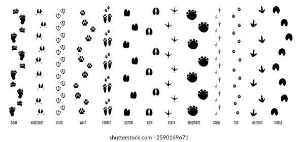 Animals footprint tracks. Chains of paw prints. Fauna creatures and birds trails. Black silhouettes zoo icons. Walk way. Elephant path. Rabbit footsteps. Pawprint shapes