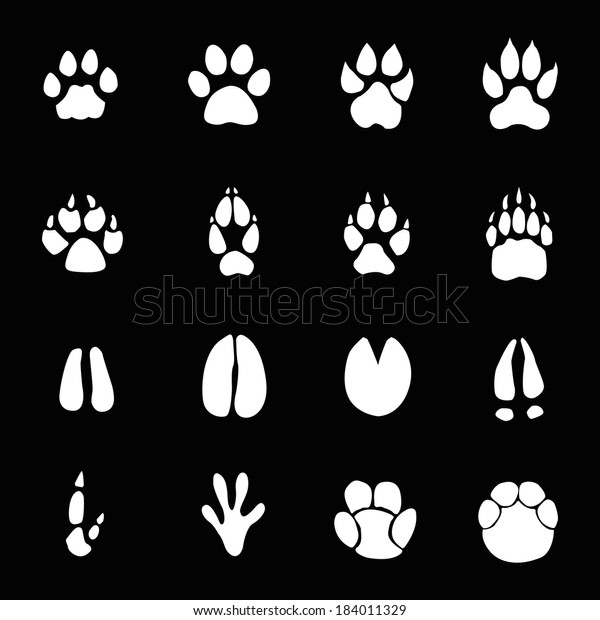 Animals Footprints Stock Vector (Royalty Free) 184011329