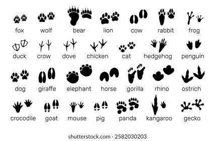 Animals footprints. Black silhouette icons. Paw prints. Birds steps. Predators and herbivores. Mammal tracks with text inscriptions. Different traces. Wildlife fauna