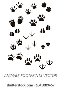 Animals footprints pairs vector. Birds, tiger, bear, cat, dog, frog