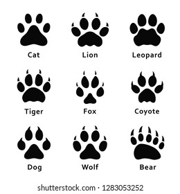 Animals footprints, paw prints. Set of different animals and predators footprints and traces. Cat, lion, leopard, tiger, fox, wolf, coyote, dog, bear. Vector svg