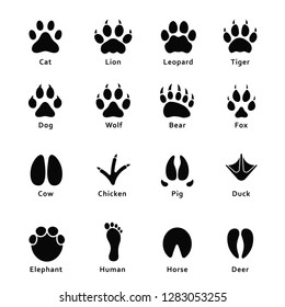 Animals footprints, paw prints. Set of different animals and birds footprints and traces. Cat, lion, tiger, bear, dog, cow, pig, chicken, elephant, horse etc. Vector