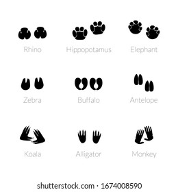 Animals footprints, paw prints. Set of different animals and predators footprints and traces. Cat, lion, leopard, tiger, fox, wolf, dog, bear. Vector