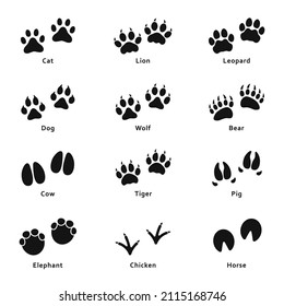 Animals footprints, paw prints. Set of different animals and birds footprints and paw traces. Vector svg