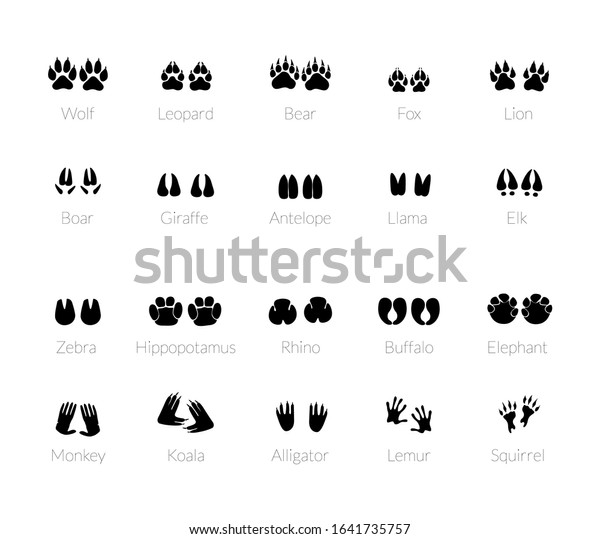 Animals Footprints Paw Prints Set Different Stock Vector (Royalty Free ...