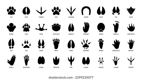 Animals footprints. Prints animal bird paw, wildlife foot icon, domestic pets footstep silhouette, print hoofed feet, black amphibia feet track vector set. Cat, turkey, chicken and horse trail