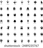 Animals footprints. Realistic Prints wildlife foot icon, bird paw, pets footstep silhouette, print hoofed feet. Cat, dog, wolf, chicken, horse and other vector illustrations
