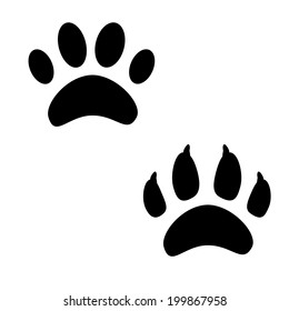 Animals footprints vector