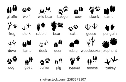 Animals footprints. Wildlife and birds tracks. Different paw prints. Black silhouette imprint icons. Bear and rabbit steps. Goose pawprint. Fauna trails with inscriptions. Vector zoo footsteps set