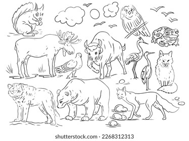 Animals forest bear wolf fox owl birds elk bison trees oak pine spruce mushrooms fauna flora plants  illustration hand drawn set large on white background nature wild Europe Asia