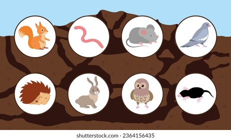 Animals in the forest. Educational game for children. Vector illustration