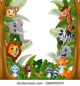 Animals forest meet together in frame