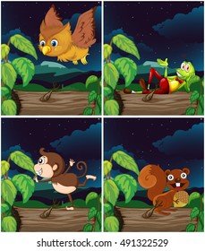 Animals in forest at night