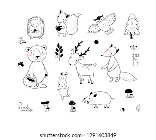 Animals of the forest. Set with cute cartoon bears, fox, hare and squirrel, owl and deer. Design for children