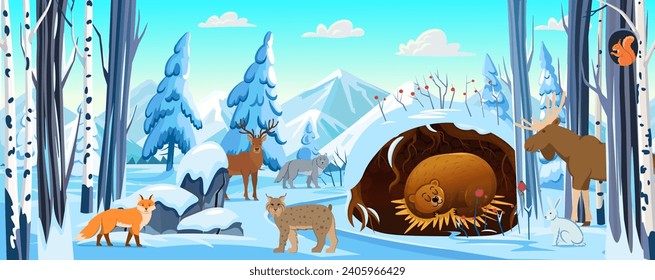 Animals in the forest in winter.Winter forest background with animals, trees, snowy fir trees, mountains, stones, driftwood and fields in the snow. Bear sleeps in a den in winter.