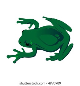 animals, frog, vector, symbol, silhouette, ducks, amphibian, art, cartoon