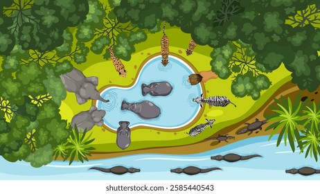 Animals gather around a waterhole in the jungle