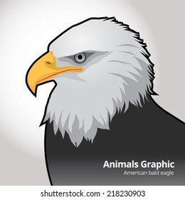Animals Graphic - detail eagle , vector illustration
