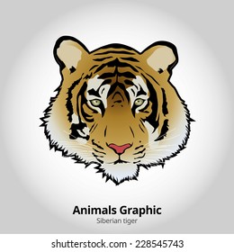 Animals Graphic - detail tiger, vector illustration 