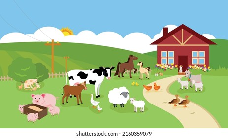 Animals graze on the farm