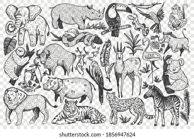 Animals hand drawn doodle set