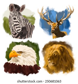 Animals hand drawn vector heads portraits set: zebra, deer, eagle, lion