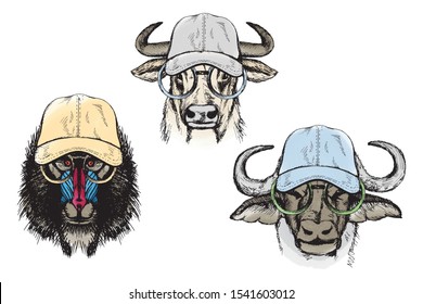 Animals in hat and glasses. Modern sketch kit in color on white background