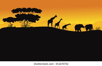 Animals in hill scenery of silhouette at the sunrise