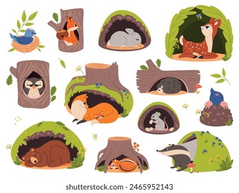 Animals in holes and burrows. Cartoon forest creatures inside hollows and nests, woodland fauna in their homes, sleeping bear in den, bird, funny squirrel and hare, vector isolated set