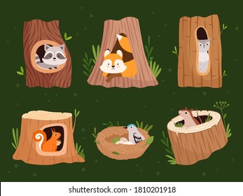 Animals hollow. Wood forest trees with holes for wild animals houses vector cartoon collection