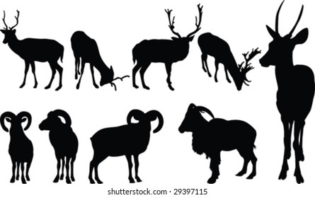 Animals with horns