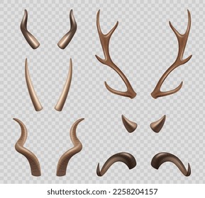 Animals horns. Moose sheep goat different types of horns decent vector realistic illustrations