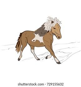 Animals horse