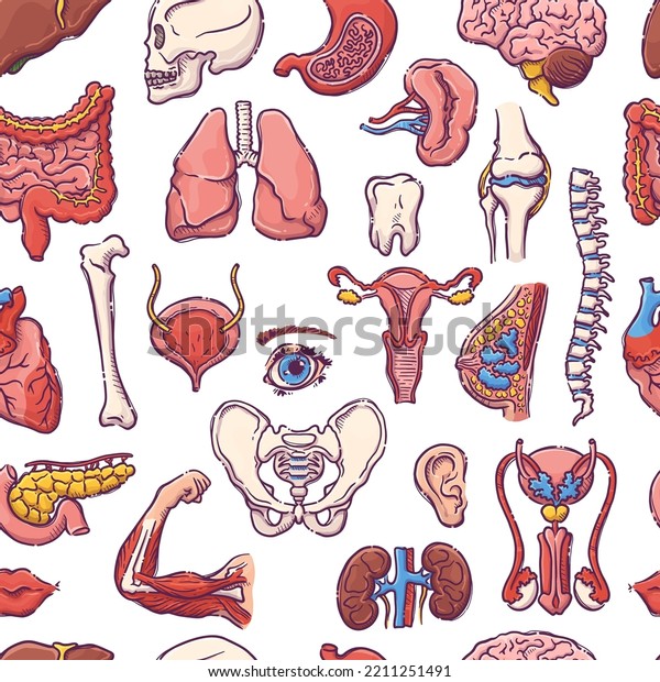 Animals and humans internal organs.\
Seamless pattern of body parts on a medical theme for posters,\
leaflets, books, stickers. Human organ anatomy set. Vector hand\
drawn style\
illustration.