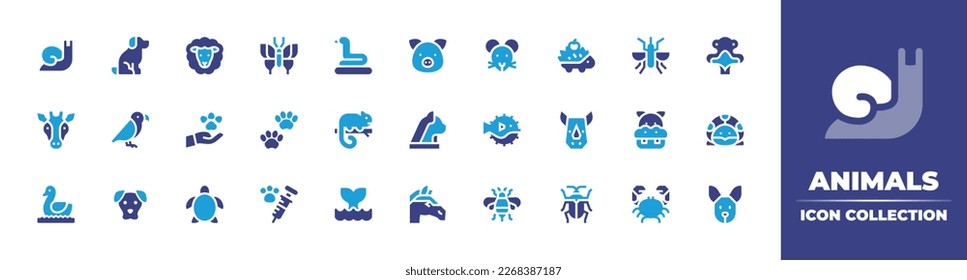 Animals icon collection. Duotone color. Vector illustration. Containing 