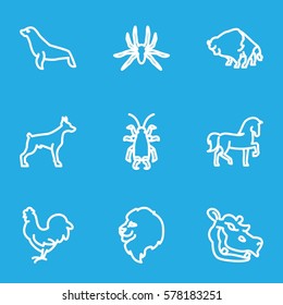 Animals icon. Set of 9 Animals outline icons such as lion, horse, dog, spider, buffalo, chicken, beetle, hippopotamus