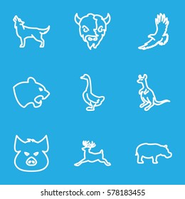 Animals icon. Set of 9 Animals outline icons such as pig, panther, eagle, cangaroo, goose, deer, wolf, goat