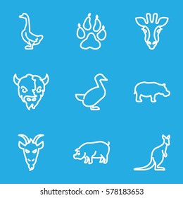 Animals icon. Set of 9 Animals outline icons such as giraffe, animal paw, goose, pig, goat, cangaroo