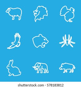 Animals icon. Set of 9 Animals outline icons such as hog, rabbit, lion, panther, spider, eagle, elephant, sheep
