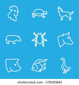 Animals icon. Set of 9 Animals outline icons such as fish, cow, beetle, goose, rooster, wolf, pig, hippopotamus