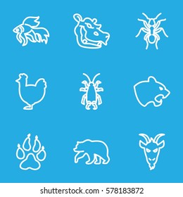 Animals icon. Set of 9 Animals outline icons such as animal paw, bear, panther, ant, fish, goat, beetle, hippopotamus