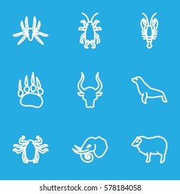 Animals icon. Set of 9 Animals outline icons such as animal paw, spider, crab, sheep, bull, beetle, elephant