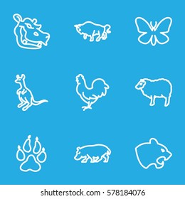 Animals icon. Set of 9 Animals outline icons such as animal paw, panther, sheep, buffalo, cangaroo, chicken, butterfly
