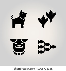 Animals icon set. breed, aloft, tropical and people illustration vector icons for web and design
