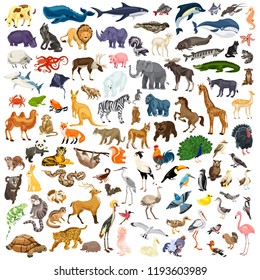 Animals icon set. Cartoon set of animals vector icons for web design