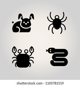 Animals icon set. drawing, ant, antenna and shirt illustration vector icons for web and design