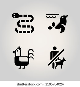 Animals icon set. mail, exotic, certificate and no illustration vector icons for web and design