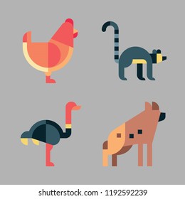 animals icon set. vector set about lemur, hyena, ostrich and hen icons set.