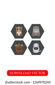 Animals icon, Vector