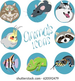 animals. icons